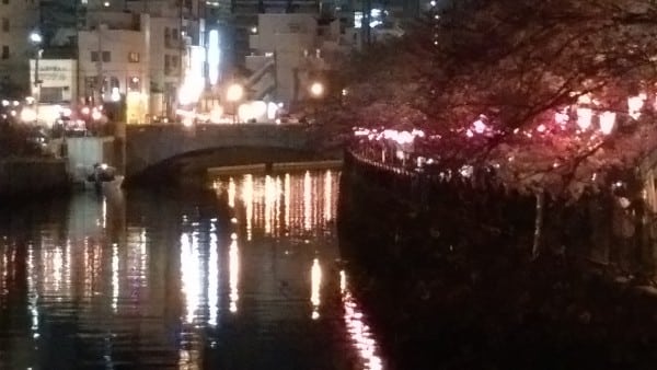 桜の開花と見積りの関係